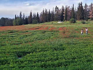 Photo 2026-03-28 18-29-08