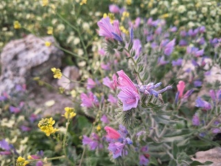 Photo 2026-03-31 20-50-13