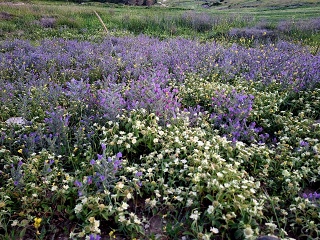 Photo 2026-03-31 20-50-15