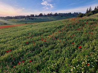 Photo 2026-03-31 20-50-16