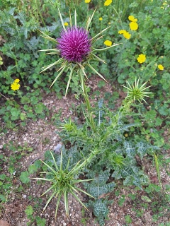 Photo 2026-03-31 20-50-19