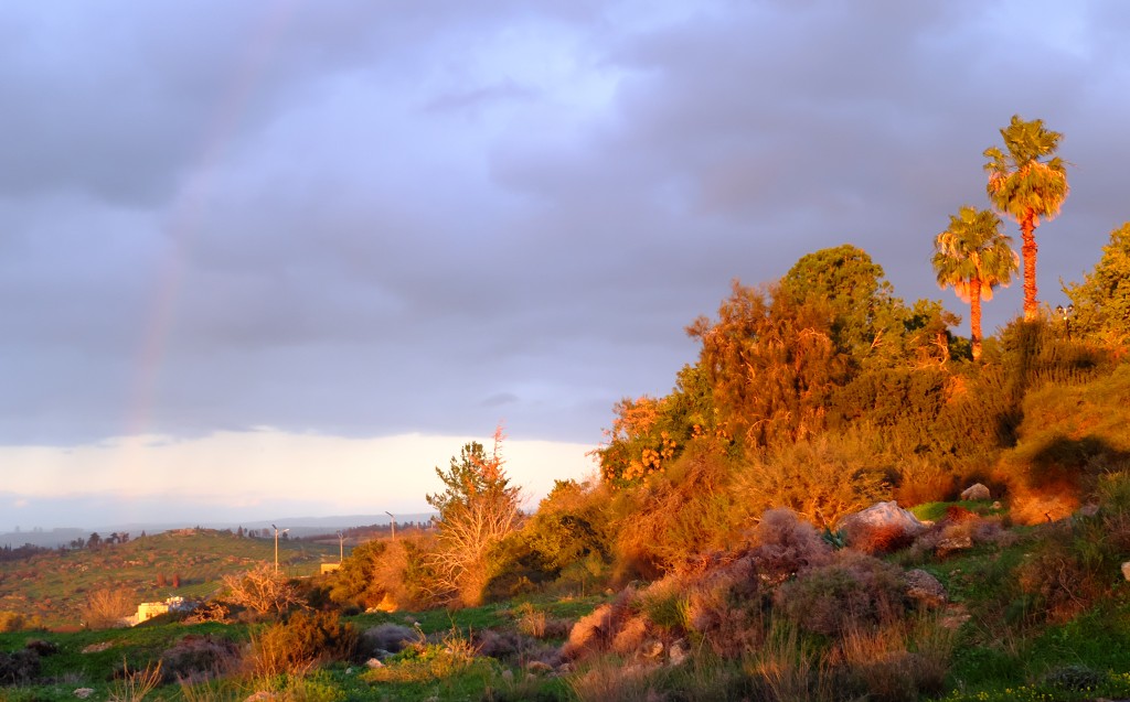 looking to the west at sunset: russet coloured trees and vegetation; in the background a rainbow is seen against a moody sky