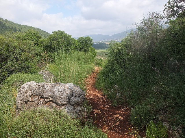 Inbar Mindfulness Retreat April 2023 016