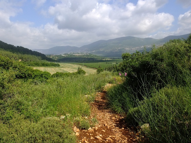 Inbar Mindfulness Retreat April 2023 017