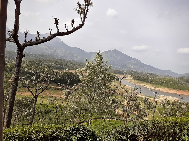 Munar To Plains 2019-06 003