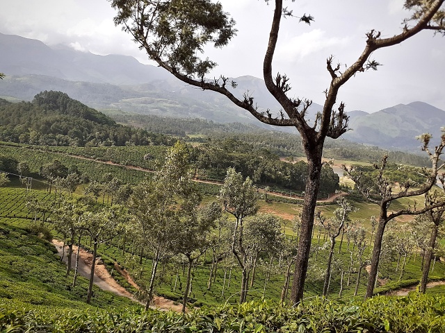 Munar To Plains 2019-06 004