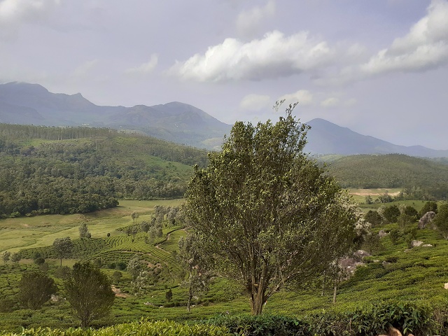 Munar To Plains 2019-06 005