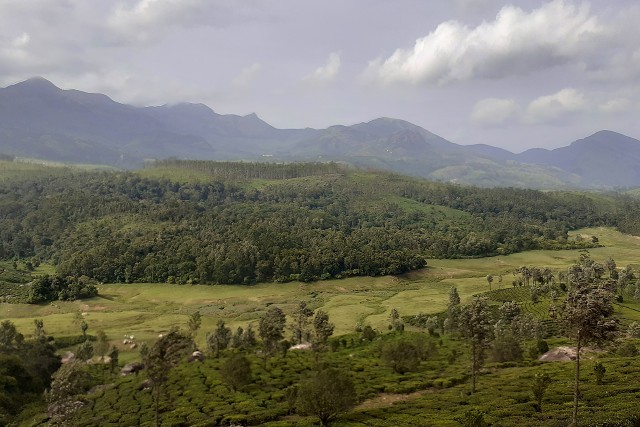 Munar To Plains 2019-06 006