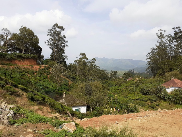 Munar To Plains 2019-06 007