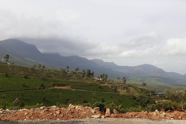 Munar To Plains 2019-06 008