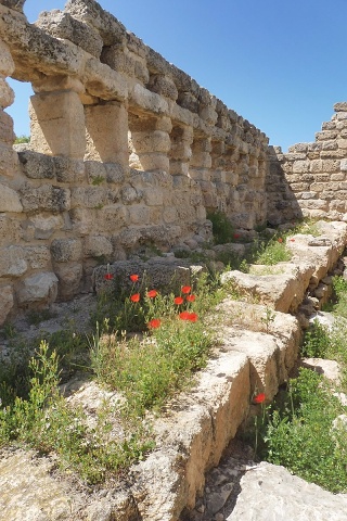 Zikhron-2021-04-22-04