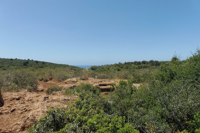 Zikhron-2021-04-22-10