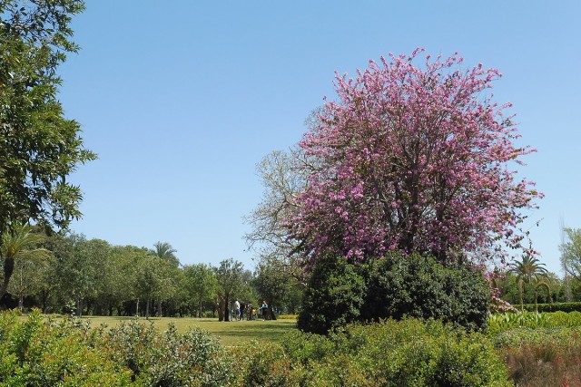 Zikhron-2021-04-22-12