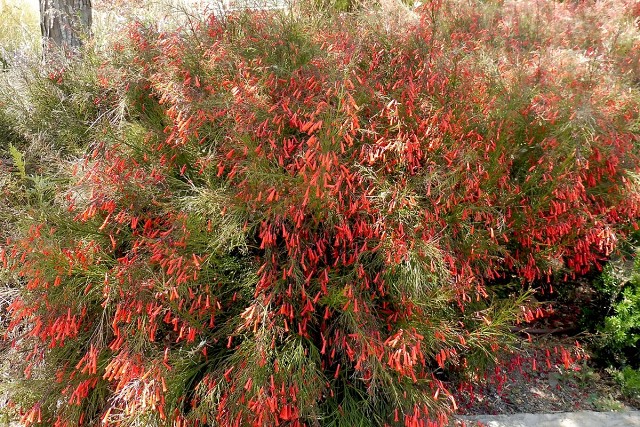 Zikhron-2021-04-22-13