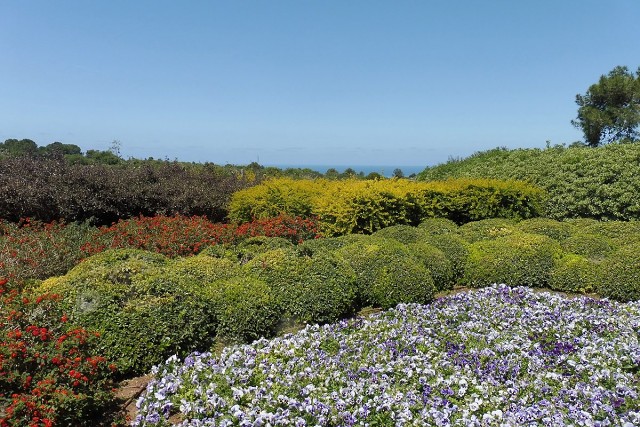 Zikhron-2021-04-22-15