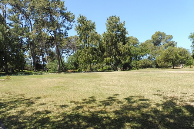 Zikhron-2021-04-22-18