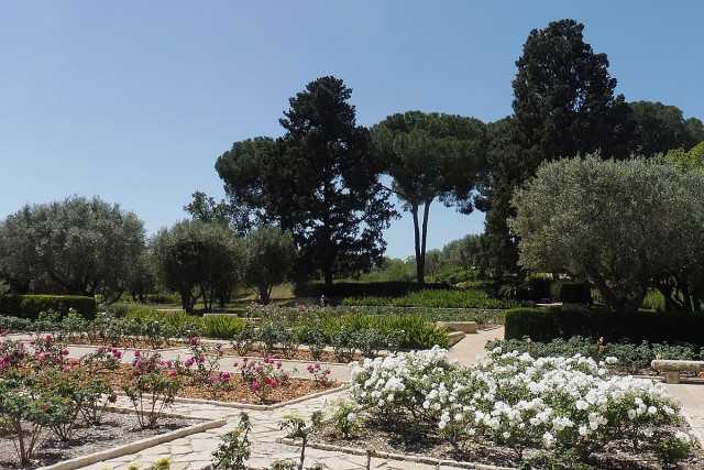 Zikhron-2021-04-22-19