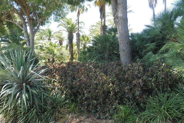 Zikhron-2021-04-22-21