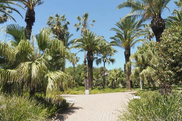 Zikhron-2021-04-22-22