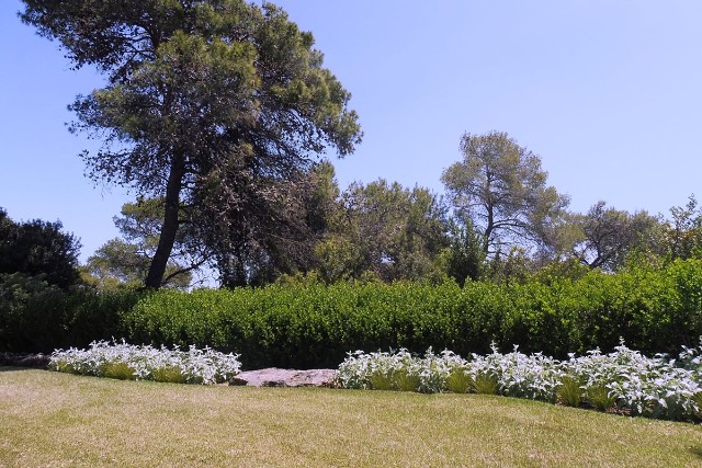 Zikhron-2021-04-22-26