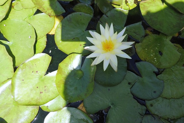 Zikhron-2021-04-22-27