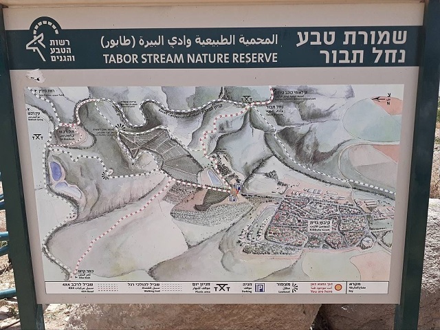 2022-05-tabor-stream-01