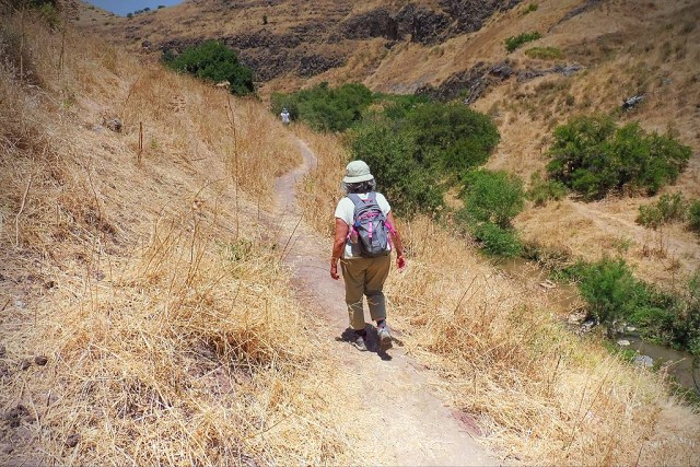 2022-05-tabor-stream-03