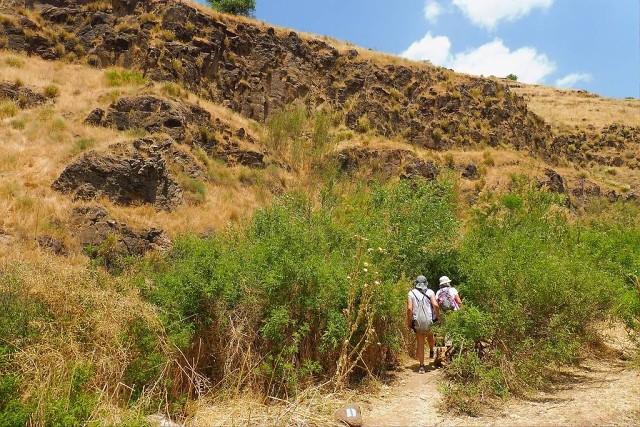 2022-05-tabor-stream-05