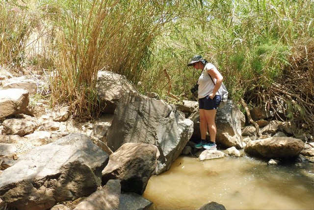 2022-05-tabor-stream-06