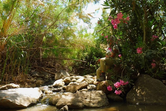 2022-05-tabor-stream-07