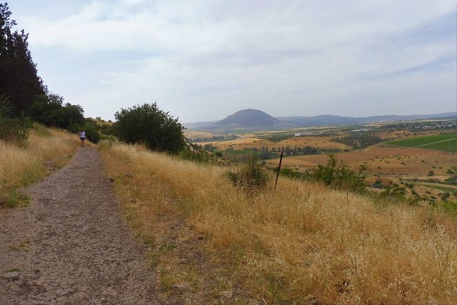 2022-05-tabor-stream-10