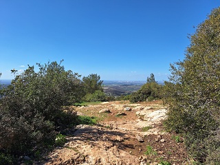 20260308 133459-sm
