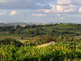 DSCF4078-sm
