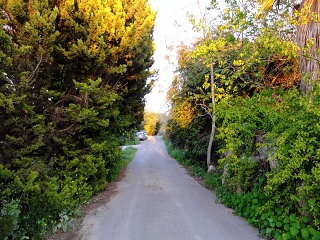 DSCF4140-sm