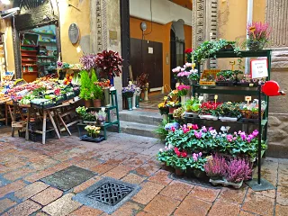 DSCF0865.webp