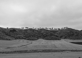 20250920 112909(1)
