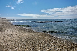 P1110644