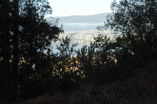P1110697