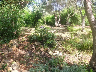 Inbar Mindfulness Retreat April 2023 001
