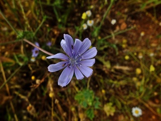 Inbar Mindfulness Retreat April 2023 009
