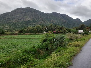 Road To Kumili 004