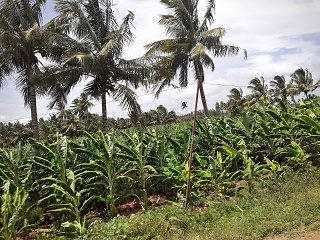 Road To Kumili 007