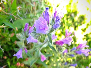 DSCF4294-sm