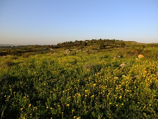 DSCF4312-sm