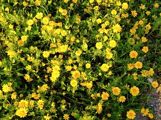 DSCF4315-sm