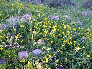 DSCF4327-sm