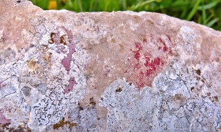 DSCF4335-sm