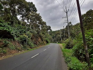 India Thekady Periyar Spice Garden 2019-06-21 004