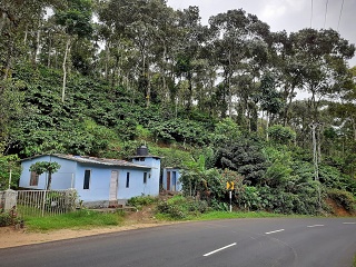 India Thekady Periyar Spice Garden 2019-06-21 005