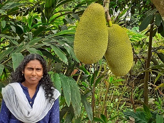 India Thekady Periyar Spice Garden 2019-06-21 027